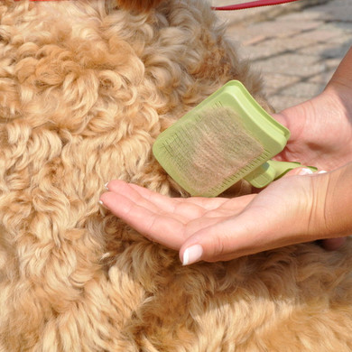 Coastal Pet Safari Dog Self-cleaning Slicker Brush - Small