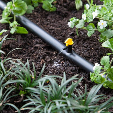 Raindrip 4 Gph Flag Dripper - 25 pk