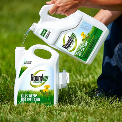 Roundup for Lawns 1 Refill - 1.25 gal