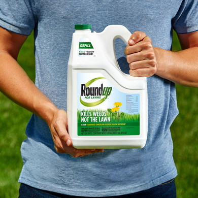 Roundup for Lawns 1 Refill - 1.25 gal