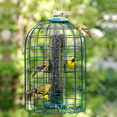 Audubon Squirrel-resistant Caged Tube Feeder - 1.25 Lb