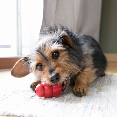 Kong Red Classic Dog Toy - Small