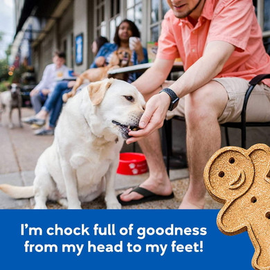 Buddy Biscuits Original Soft Bacon & Cheese Chewy Treats - 6 oz