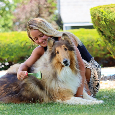 Coastal Pet Safari Shed Magic De-Shedding Tool For Dogs - Medium