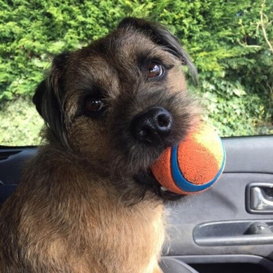 Chuckit Strong Ultra Ball - Orange/blue