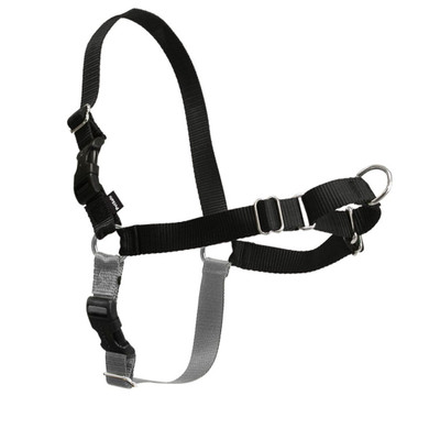 Petsafe Black/silver Easy Walk no Pull Dog Harness - Small/Medium