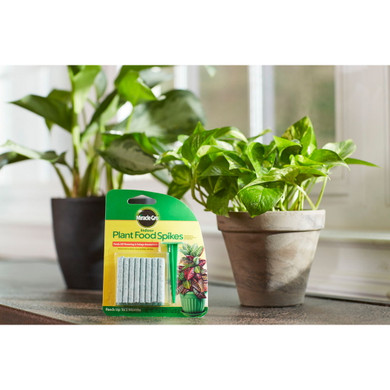 Miracle-Gro Indoor Plant Food Spike - 1.1 oz