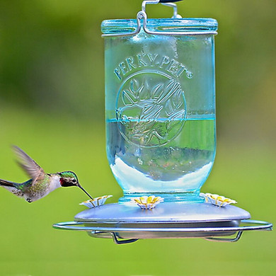Perky-pet Mason Jar Glass Hummingbird Feeder - 32 oz