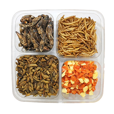 Exotic Nutrition Hedgehog Treat Variety Pack - 5 oz