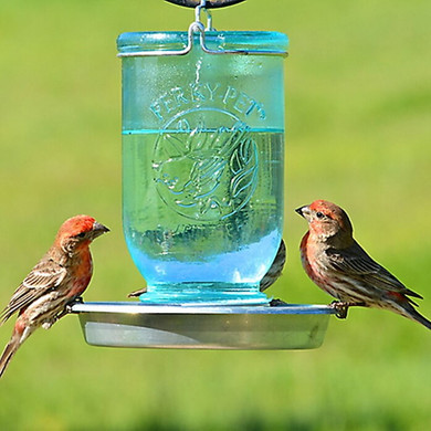 Perky-pet Mason Jar Wild Bird Waterer - 32 oz