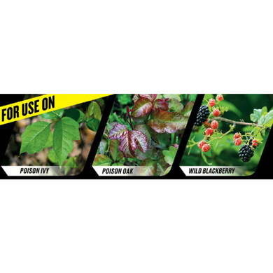 Ortho Groundclear Poison Concentrate Ivy & Tough Brush Killer - 32 fl oz