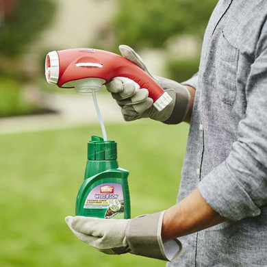 Ortho Weed B Gon Chickweed, Clover & Oxalis Killer Concentrate - 16 fl oz