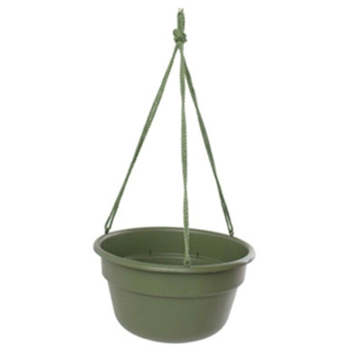 Bloem Living Green Dura Cotta Hanging Basket - 12"