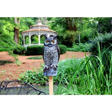 Dalen Easy Garden Defense Great Horned Owl - 16"