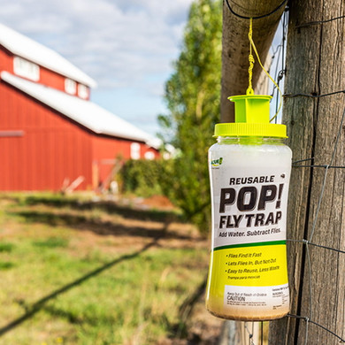 Rescue Reusable Pop Fly Trap