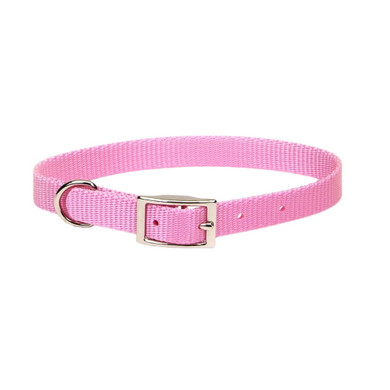 Coastal Pet Pink Bright Single-ply Dog Collar - 5/8" X 12"