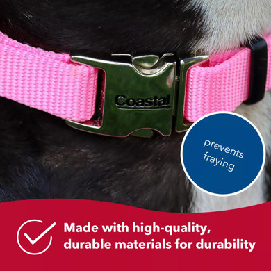 Coastal Pet Bright Adjustable Dog Collar with Metal Buckle - 1" X 18"-26" - Pink