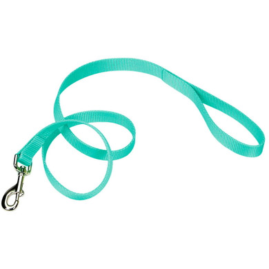 Coastal Pet Teal Single-ply Dog Leash