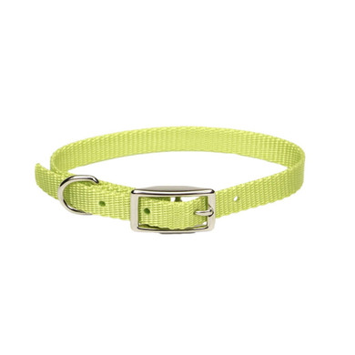 Coastal Pet Single-ply Dog Collar - 5/8" X 16" - Lime