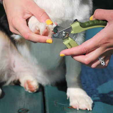 Coastal Pet Safari Professional Dog Nail Trimmer - Large