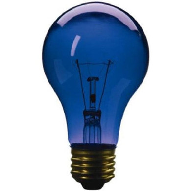 Westpointe Transparent Party Light Bulb - Blue - 25 w