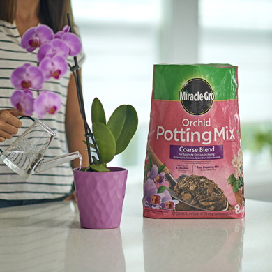 Miracle-Gro Orchid Potting Mix - 8 Qt