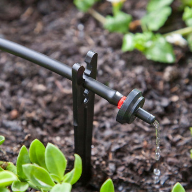 Raindrip Red 1/2 gph Pressure Compensating Dripper - 10 pk