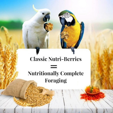 Lafeber Classic Nutri-berries Macaw & Cockatoo Food - 3.5 Lb