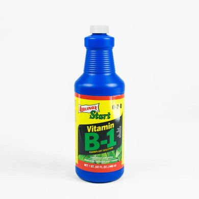 Liquinox 0-2-0 Start with Vitamin B-1 Transplant Solution