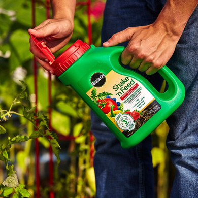 Miracle-Gro Shake 'n Feed Tomato, Fruits & Vegetables Plant Food - 4.5 lb