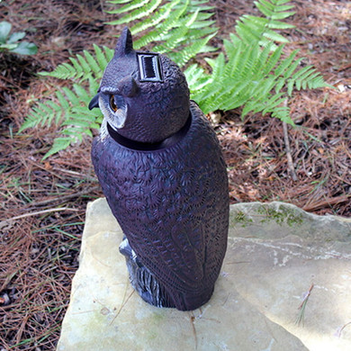 Dalen Solar Powered Owl Decoy With Rotating Head - 8"