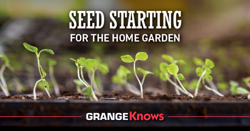 Seed Starting for the Home Garden