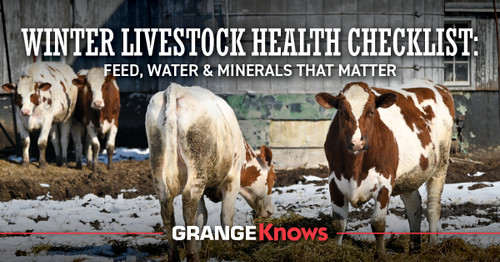 Winter Livestock Health Checklist