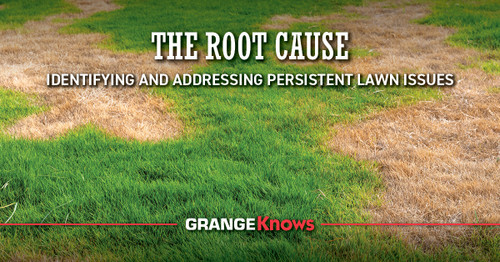 The Root Cause—Identifying and Addressing Persistent Lawn Issues
