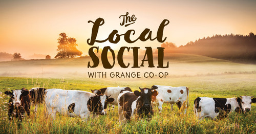 Delicate Flower Dahlia Farm