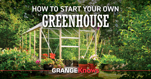 How to Start Your Own Greenhouse