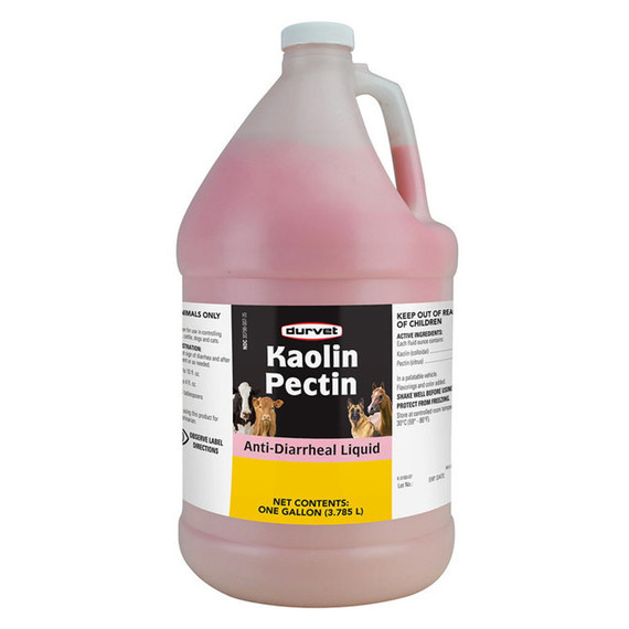 Durvet Kaolin Pectin Anti-Diarrheal Solution - 1 gal