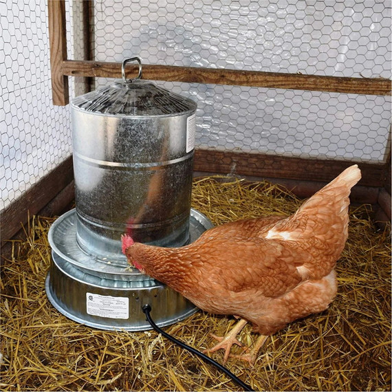 Farm Innovators Heated Poultry Fountain Base