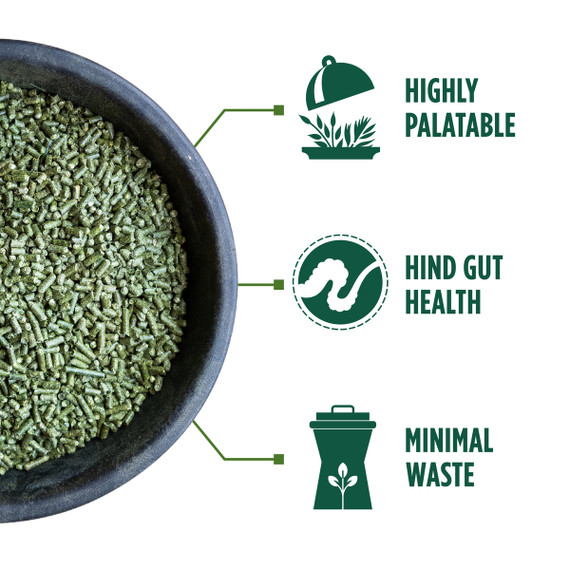 Standlee Premium Organic Alfalfa Pellets - 40 lb