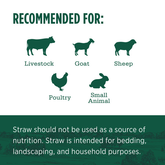 Standlee Premium Products Certified Chopped Straw Animal Bedding, 25 lb