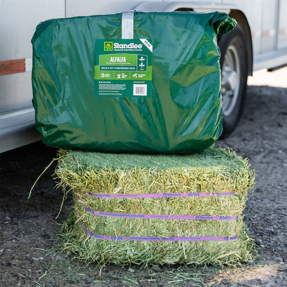 Standlee Premium Western Forage Alfalfa Grab & Go Compressed Hay Bale 50lb