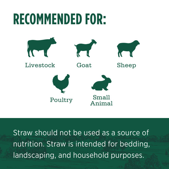 Standlee Premium Products Certified Straw Grab & Go Compressed Bale Animal Bedding, 3.6 cu. ft.