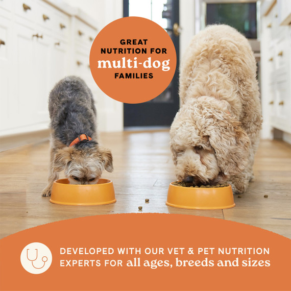 Canidae All Life Stages Multi-Protein Recipe Dry Dog Food - 40 lb