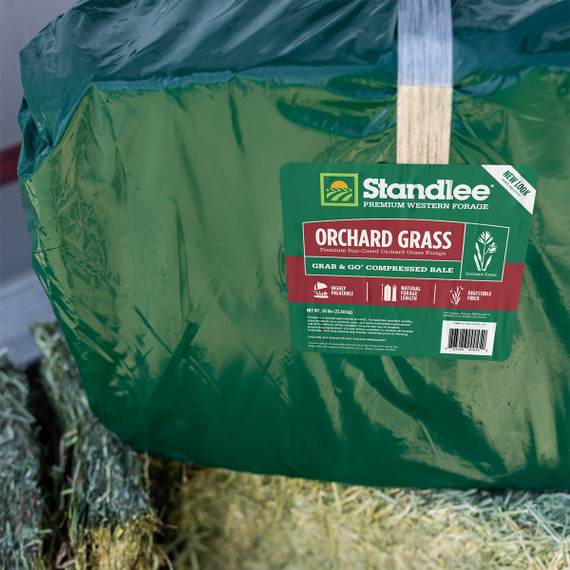 Standlee Premium Western Forage Orchard Grass Grab & Go Compressed Hay Bale 50 lb.