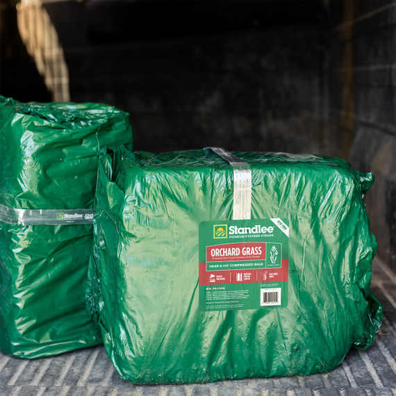 Standlee Premium Western Forage Orchard Grass Grab & Go Compressed Hay Bale 50 lb.