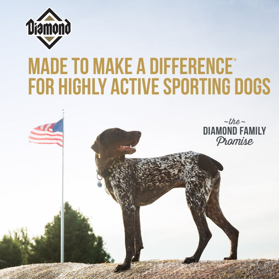 Diamond Hi-energy Sporting Formula Dry Dog Food - 50 lb