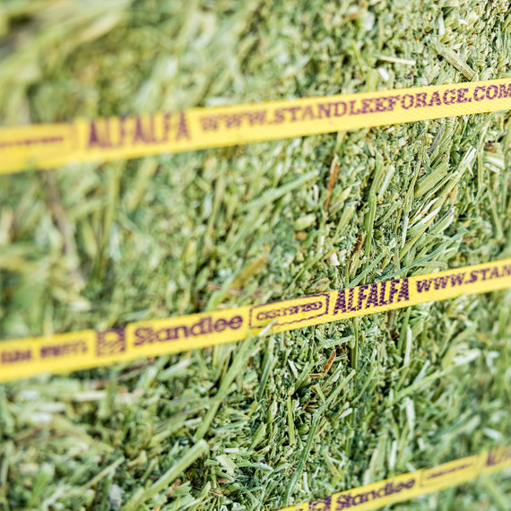 Standlee Certified Alfalfa Compressed Bale - 50 lb