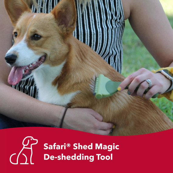 Coastal Pet Safari Shed Magic De-shedding Tool - Large