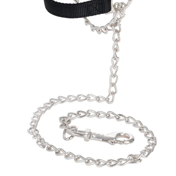 Weaver Leather Nylon Adjustable Sheep Halter with Chain Lead