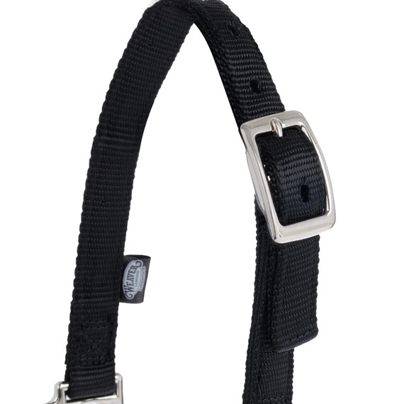 Weaver Leather Nylon Adjustable Sheep Halter with Chain Lead